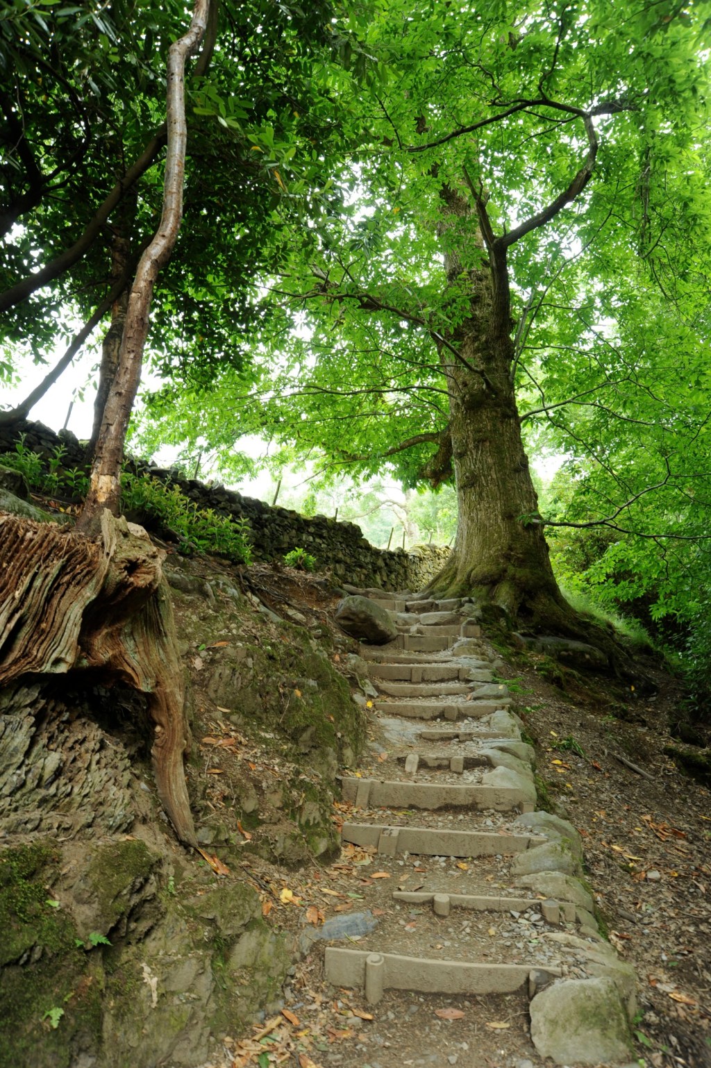 Hello… nice to meet&nbsp;you!