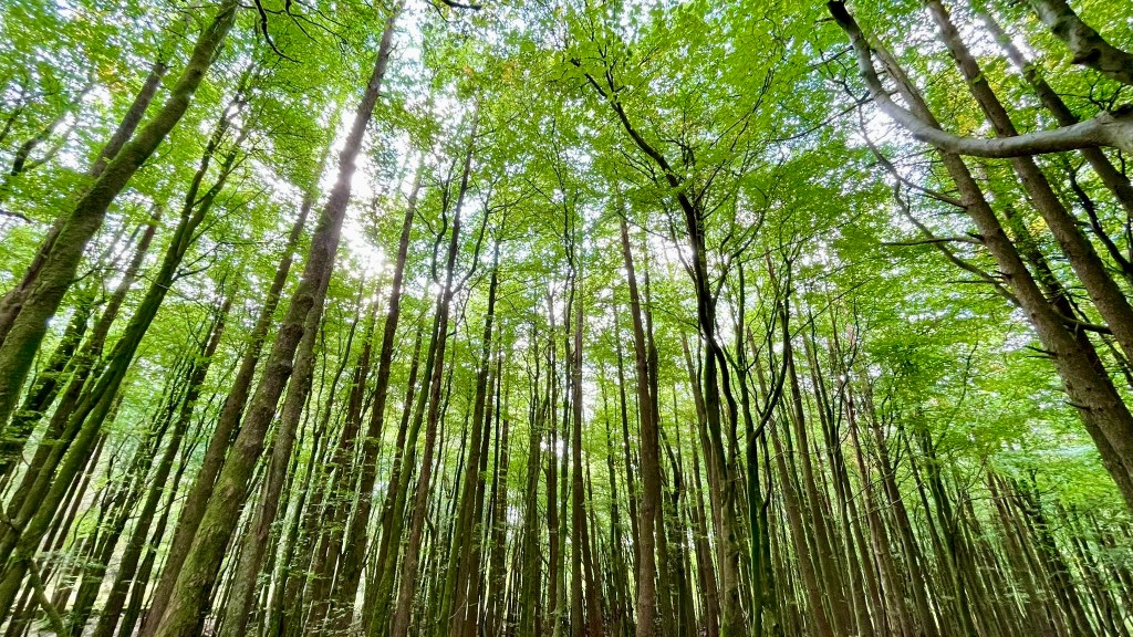 How do we embrace a more sustainable approach to content and&nbsp;communications?