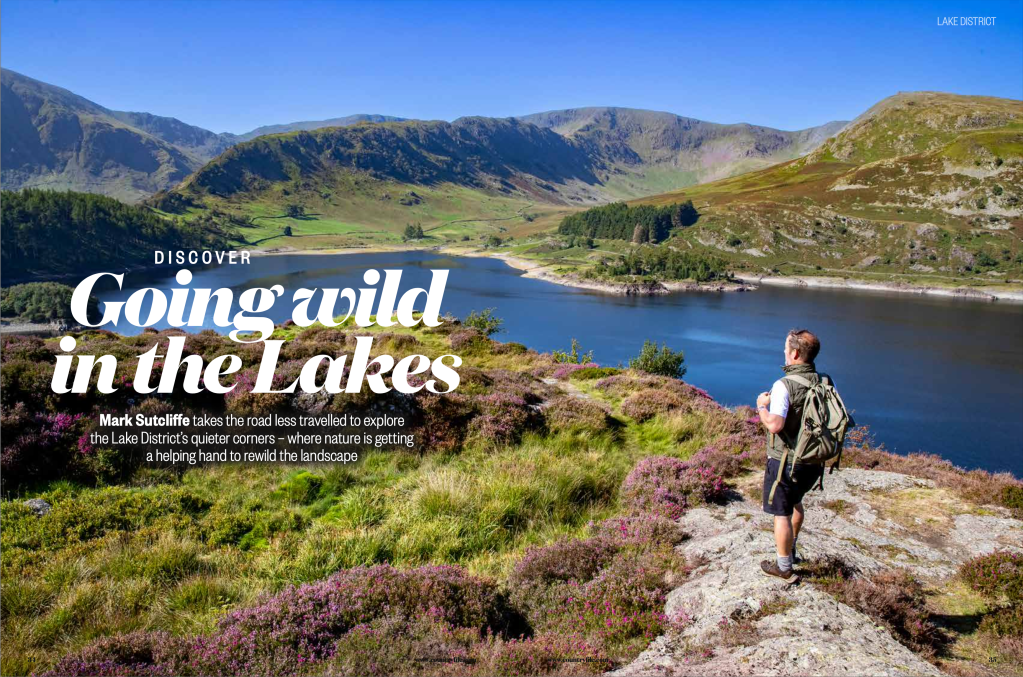 Going Wild in the Lakes - Countryfile Magazine
